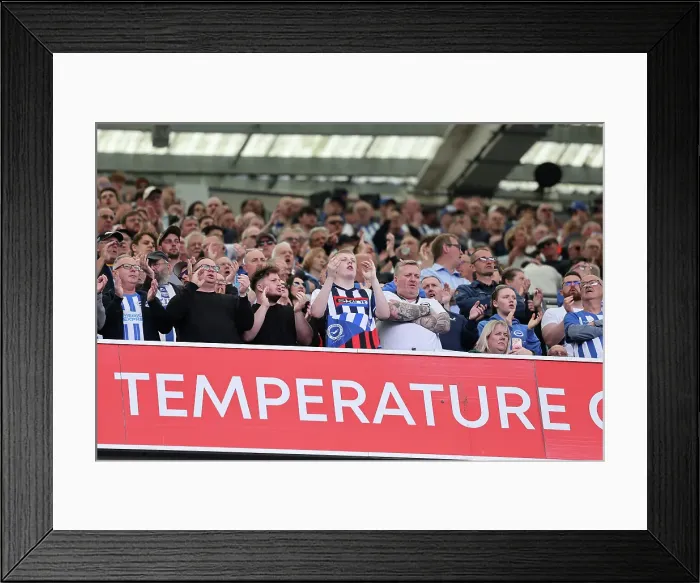Framed Print : Brighton and Hove Albion v West Ham United Premier League 26APR25