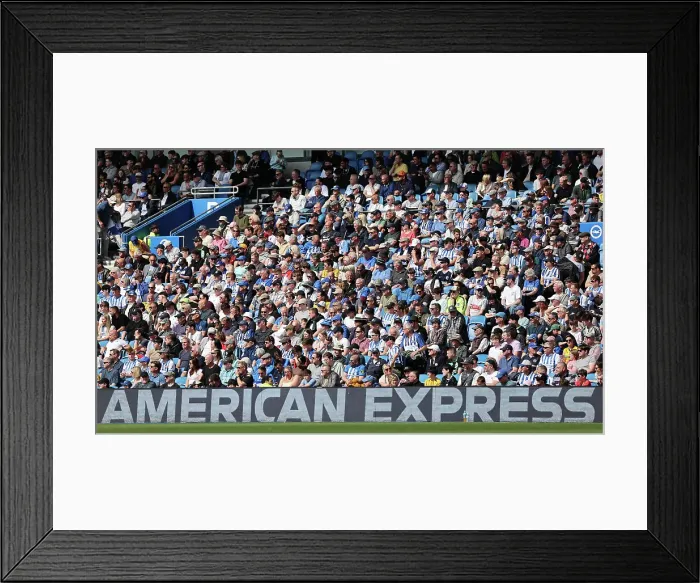 Framed Print : Brighton and Hove Albion v West Ham United Premier League 26APR25