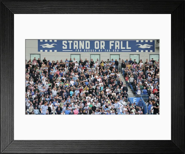 Framed Print : Brighton and Hove Albion v West Ham United Premier League 26APR25