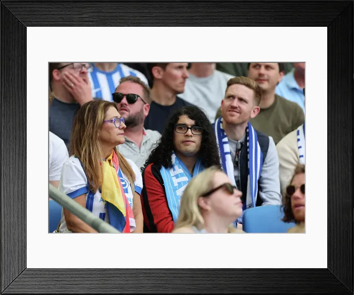 Framed Print : Brighton and Hove Albion v West Ham United Premier League 26APR25
