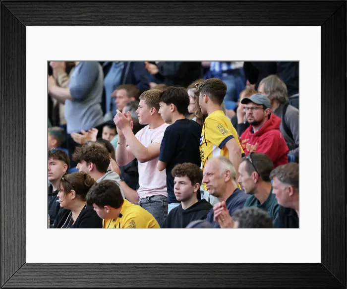 Framed Print : Brighton and Hove Albion v West Ham United Premier League 26APR25