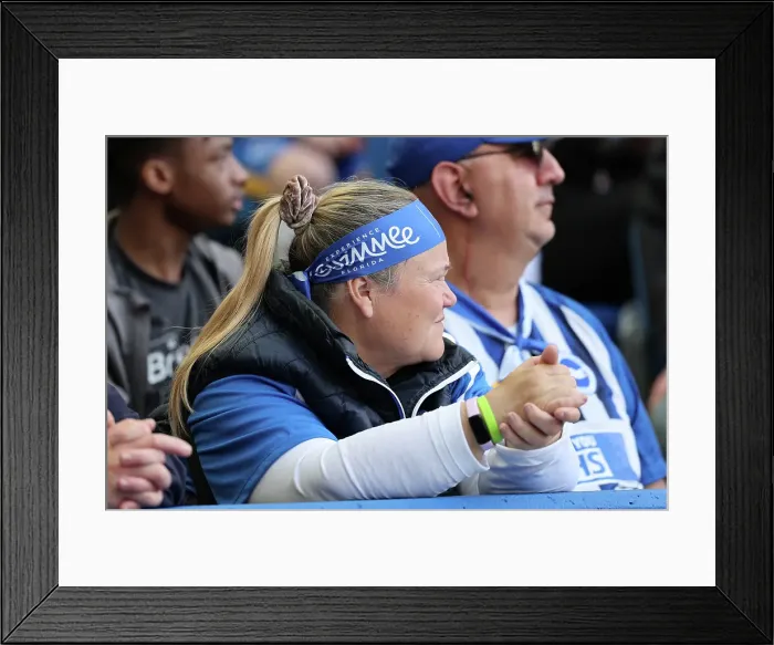 Framed Print : Brighton and Hove Albion v West Ham United Premier League 26APR25