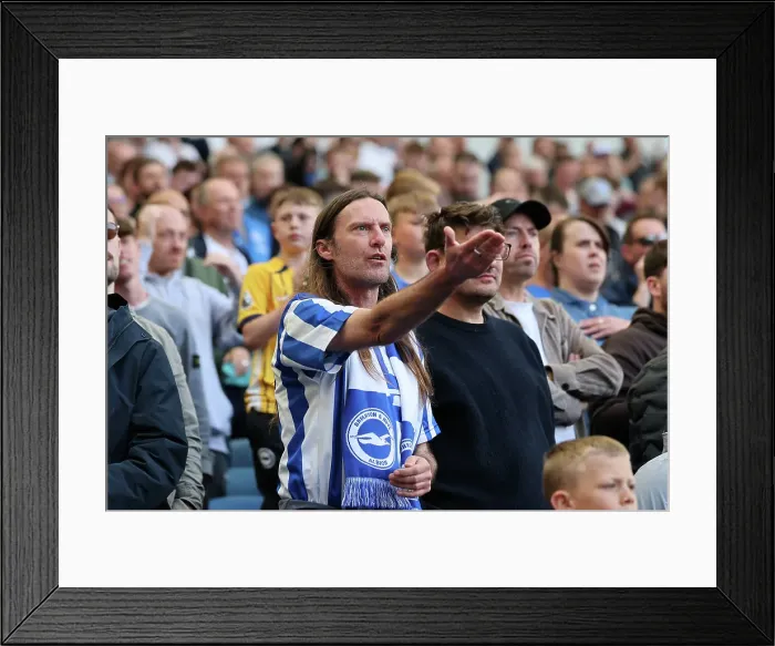Framed Print : Brighton and Hove Albion v West Ham United Premier League 26APR25