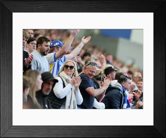 Framed Print : Brighton and Hove Albion v West Ham United Premier League 26APR25