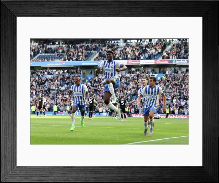 Framed Print : Brighton and Hove Albion v West Ham United Premier League 26APR25