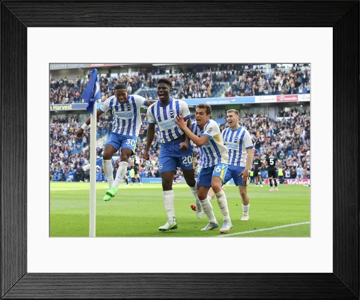 Framed Print : Brighton and Hove Albion v West Ham United Premier League 26APR25