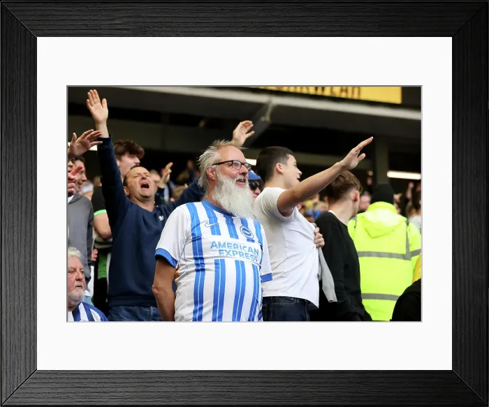 Framed Print : Brighton and Hove Albion v West Ham United Premier League 26APR25