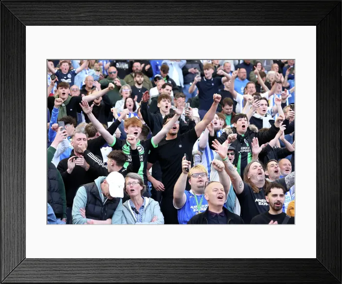 Framed Print : Brighton and Hove Albion v West Ham United Premier League 26APR25