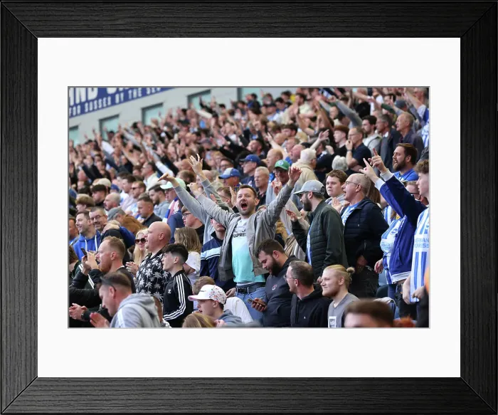 Framed Print : Brighton and Hove Albion v West Ham United Premier League 26APR25 Framed Print : Brighton and Hove Albion v West Ham United Premier League 26APR25