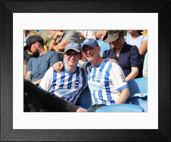 Framed Print : Brighton and Hove Albion v West Ham United Premier League 26APR25