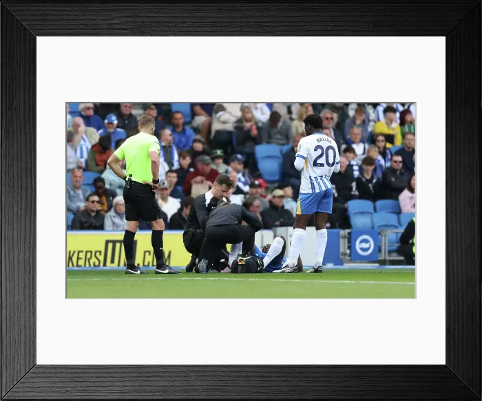 Framed Print : Brighton and Hove Albion v Newcastle United Premier League 04MAY25 Framed Print : Brighton and Hove Albion v Newcastle United Premier League 04MAY25