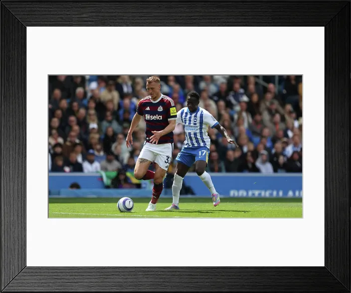 Framed Print : Brighton and Hove Albion v Newcastle United Premier League 04MAY25 Framed Print : Brighton and Hove Albion v Newcastle United Premier League 04MAY25