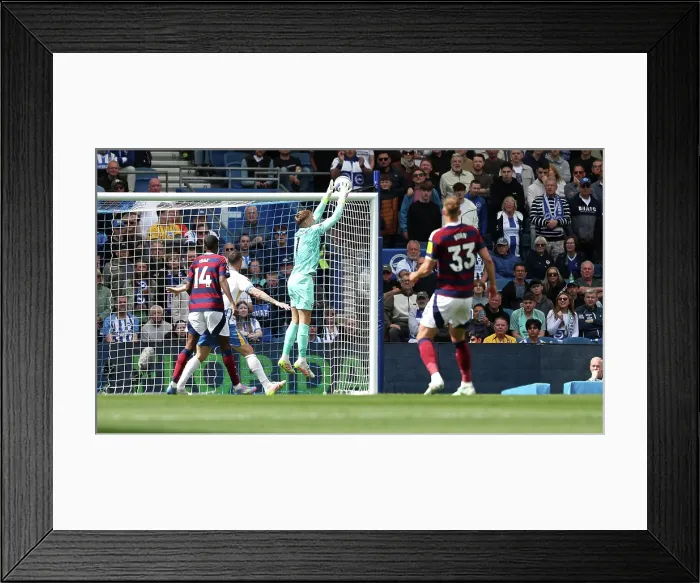 Framed Print : Brighton and Hove Albion v Newcastle United Premier League 04MAY25 Framed Print : Brighton and Hove Albion v Newcastle United Premier League 04MAY25