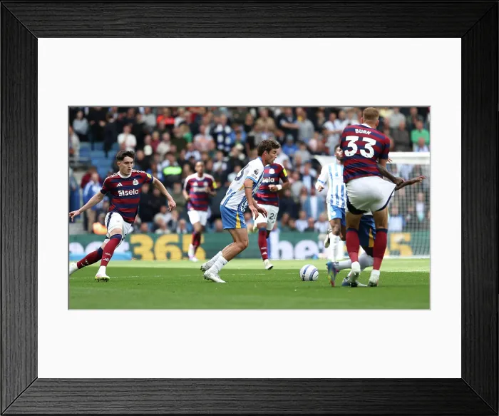 Framed Print : Brighton and Hove Albion v Newcastle United Premier League 04MAY25 Framed Print : Brighton and Hove Albion v Newcastle United Premier League 04MAY25