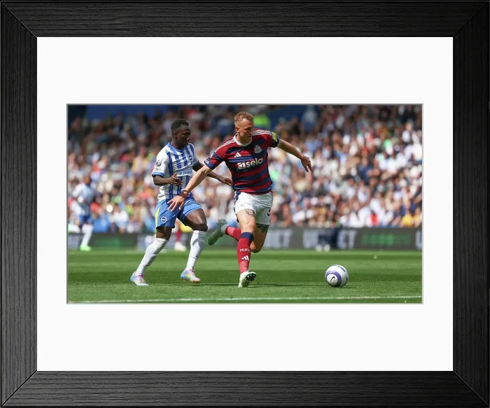 Framed Print : Brighton and Hove Albion v Newcastle United Premier League 04MAY25 Framed Print : Brighton and Hove Albion v Newcastle United Premier League 04MAY25