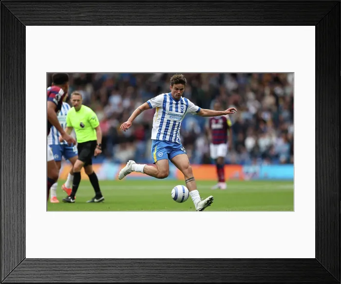 Framed Print : Brighton and Hove Albion v Newcastle United Premier League 04MAY25 Framed Print : Brighton and Hove Albion v Newcastle United Premier League 04MAY25