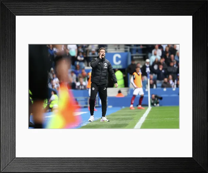 Framed Print : Brighton and Hove Albion v Newcastle United Premier League 04MAY25 Framed Print : Brighton and Hove Albion v Newcastle United Premier League 04MAY25