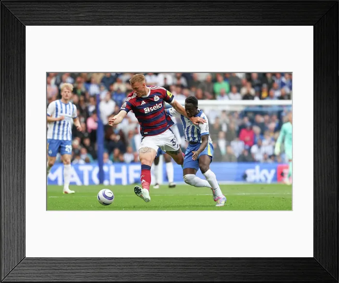 Framed Print : Brighton and Hove Albion v Newcastle United Premier League 04MAY25 Framed Print : Brighton and Hove Albion v Newcastle United Premier League 04MAY25