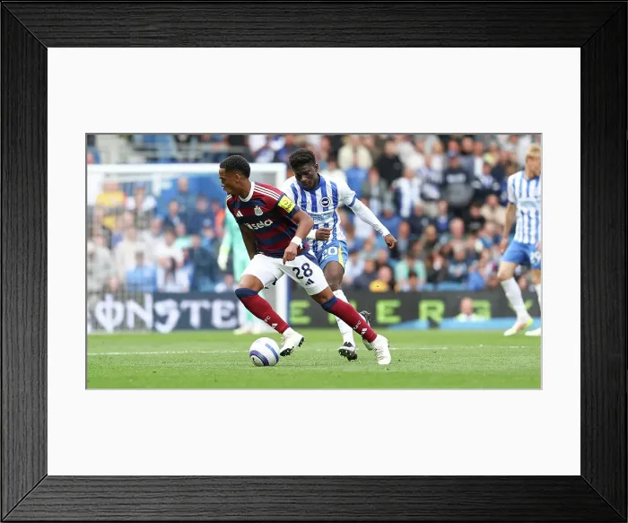 Framed Print : Brighton and Hove Albion v Newcastle United Premier League 04MAY25 Framed Print : Brighton and Hove Albion v Newcastle United Premier League 04MAY25