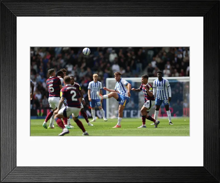 Framed Print : Brighton and Hove Albion v Newcastle United Premier League 04MAY25 Framed Print : Brighton and Hove Albion v Newcastle United Premier League 04MAY25
