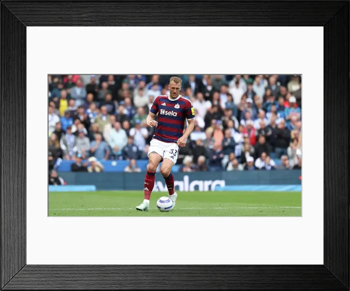 Framed Print : Brighton and Hove Albion v Newcastle United Premier League 04MAY25 Framed Print : Brighton and Hove Albion v Newcastle United Premier League 04MAY25