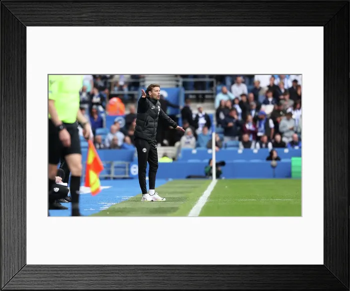 Framed Print : Brighton and Hove Albion v Newcastle United Premier League 04MAY25 Framed Print : Brighton and Hove Albion v Newcastle United Premier League 04MAY25