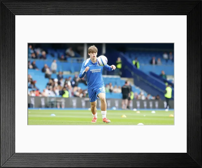 Framed Print : Brighton and Hove Albion v Newcastle United Premier League 04MAY25 Framed Print : Brighton and Hove Albion v Newcastle United Premier League 04MAY25