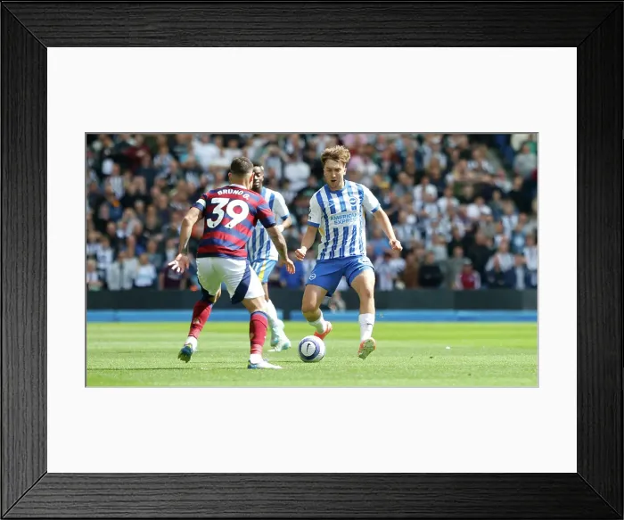 Framed Print : Brighton and Hove Albion v Newcastle United Premier League 04MAY25 Framed Print : Brighton and Hove Albion v Newcastle United Premier League 04MAY25