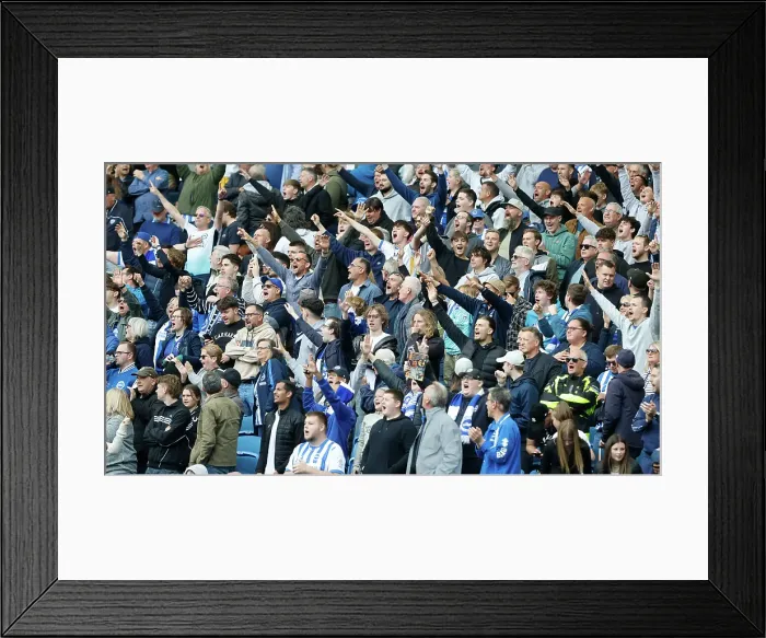 Framed Print : Brighton and Hove Albion v Newcastle United Premier League 04MAY25 Framed Print : Brighton and Hove Albion v Newcastle United Premier League 04MAY25