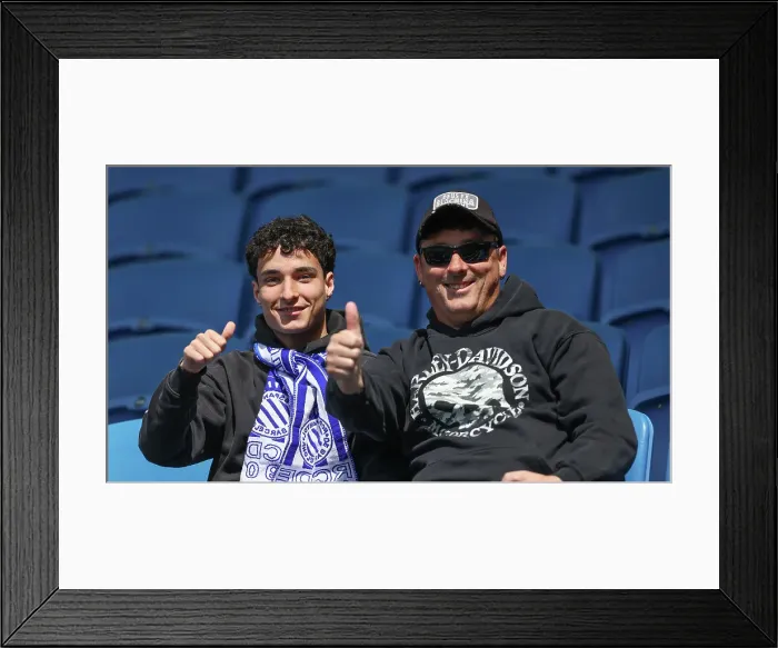 Framed Print : Brighton and Hove Albion v Newcastle United Premier League 04MAY25