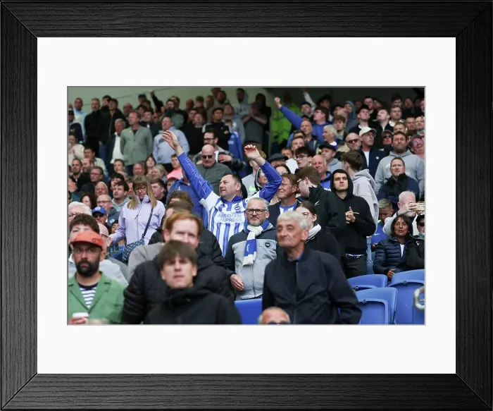 Framed Print : Brighton and Hove Albion v Newcastle United Premier League 04MAY25 Framed Print : Brighton and Hove Albion v Newcastle United Premier League 04MAY25