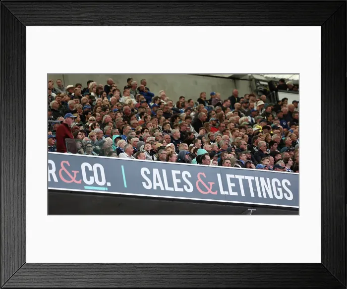 Framed Print : Brighton and Hove Albion v Newcastle United Premier League 04MAY25 Framed Print : Brighton and Hove Albion v Newcastle United Premier League 04MAY25