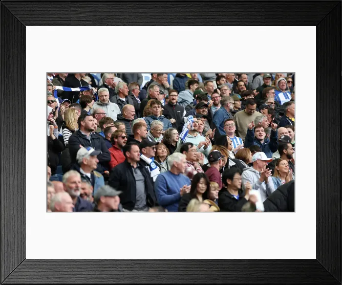 Framed Print : Brighton and Hove Albion v Newcastle United Premier League 04MAY25 Framed Print : Brighton and Hove Albion v Newcastle United Premier League 04MAY25