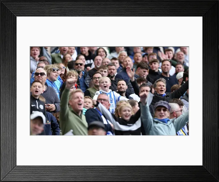 Framed Print : Brighton and Hove Albion v Newcastle United Premier League 04MAY25