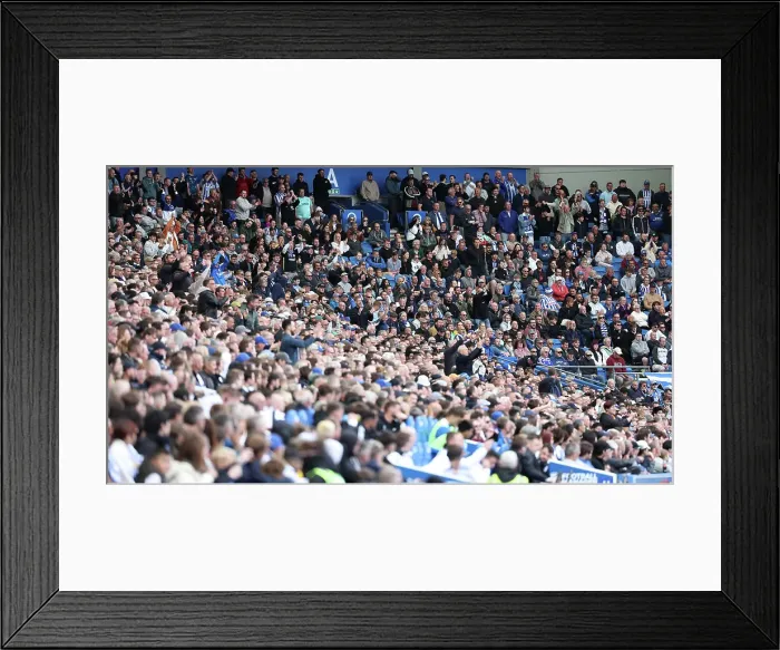 Framed Print : Brighton and Hove Albion v Newcastle United Premier League 04MAY25 Framed Print : Brighton and Hove Albion v Newcastle United Premier League 04MAY25