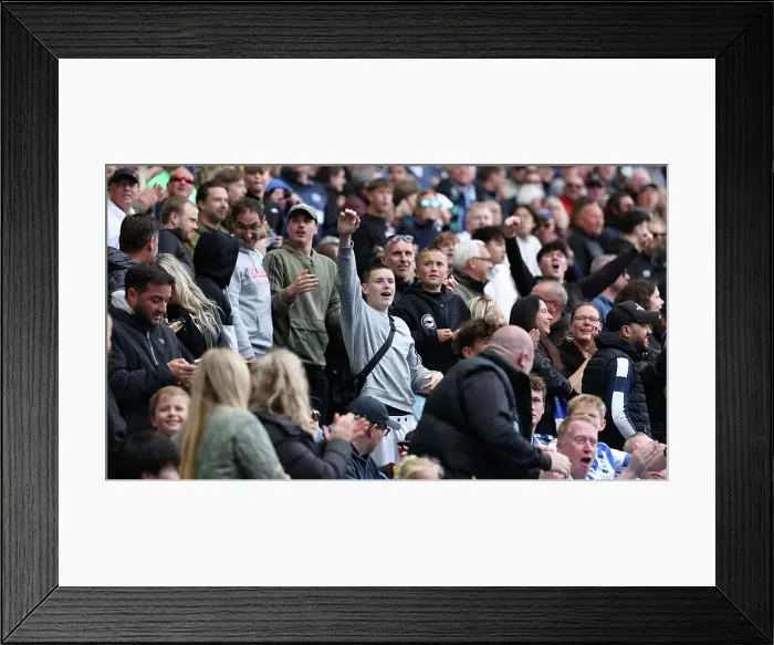 Framed Print : Brighton and Hove Albion v Newcastle United Premier League 04MAY25 Framed Print : Brighton and Hove Albion v Newcastle United Premier League 04MAY25