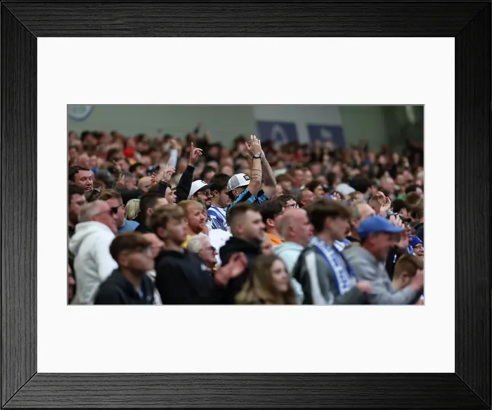 Framed Print : Brighton and Hove Albion v Newcastle United Premier League 04MAY25 Framed Print : Brighton and Hove Albion v Newcastle United Premier League 04MAY25