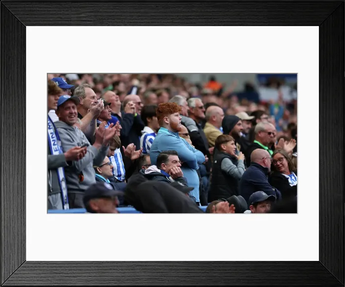 Framed Print : Brighton and Hove Albion v Newcastle United Premier League 04MAY25 Framed Print : Brighton and Hove Albion v Newcastle United Premier League 04MAY25