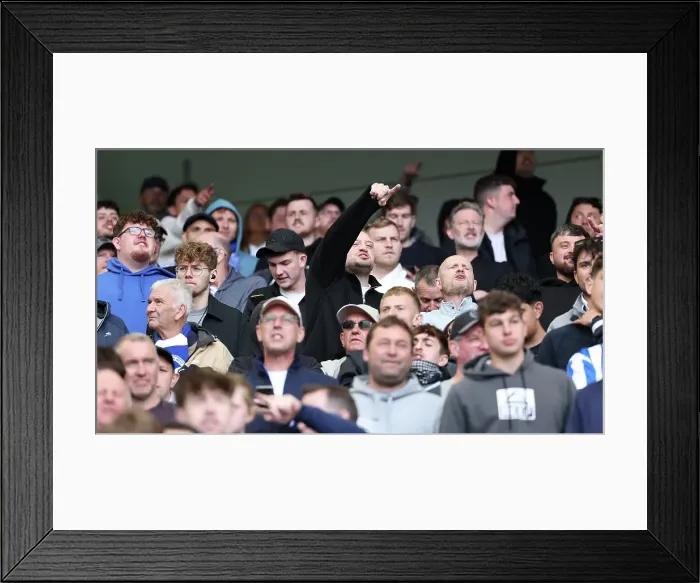Framed Print : Brighton and Hove Albion v Newcastle United Premier League 04MAY25 Framed Print : Brighton and Hove Albion v Newcastle United Premier League 04MAY25