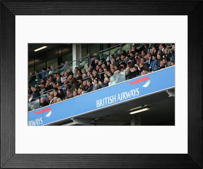 Framed Print : Brighton and Hove Albion v Newcastle United Premier League 04MAY25 Framed Print : Brighton and Hove Albion v Newcastle United Premier League 04MAY25