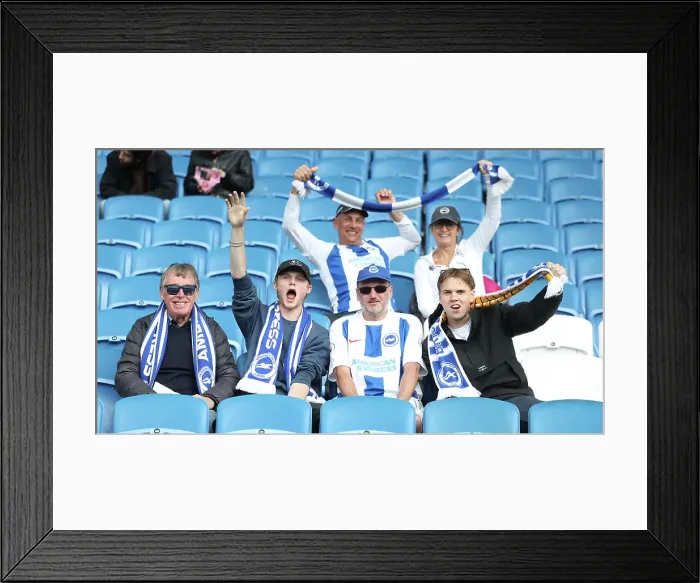 Framed Print : Brighton and Hove Albion v Newcastle United Premier League 04MAY25 Framed Print : Brighton and Hove Albion v Newcastle United Premier League 04MAY25
