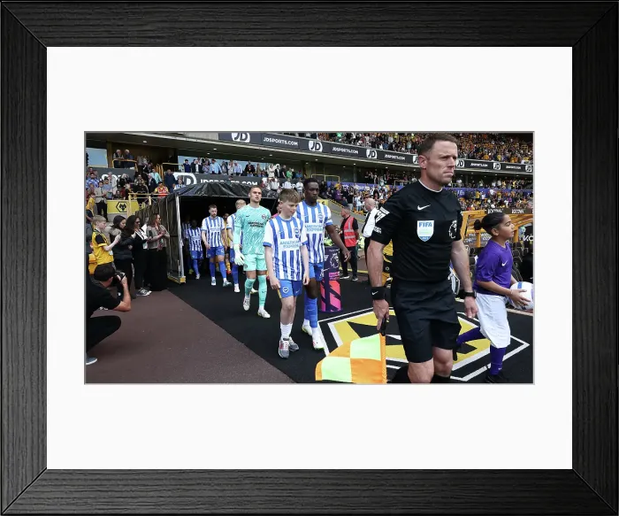 Framed Print : Wolverhampton Wanderers v Brighton and Hove Albion Premier League 10MAY25 Framed Print : Wolverhampton Wanderers v Brighton and Hove Albion Premier League 10MAY25