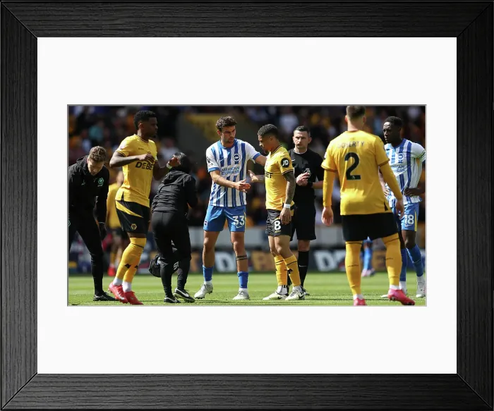 Framed Print : Wolverhampton Wanderers v Brighton and Hove Albion Premier League 10MAY25