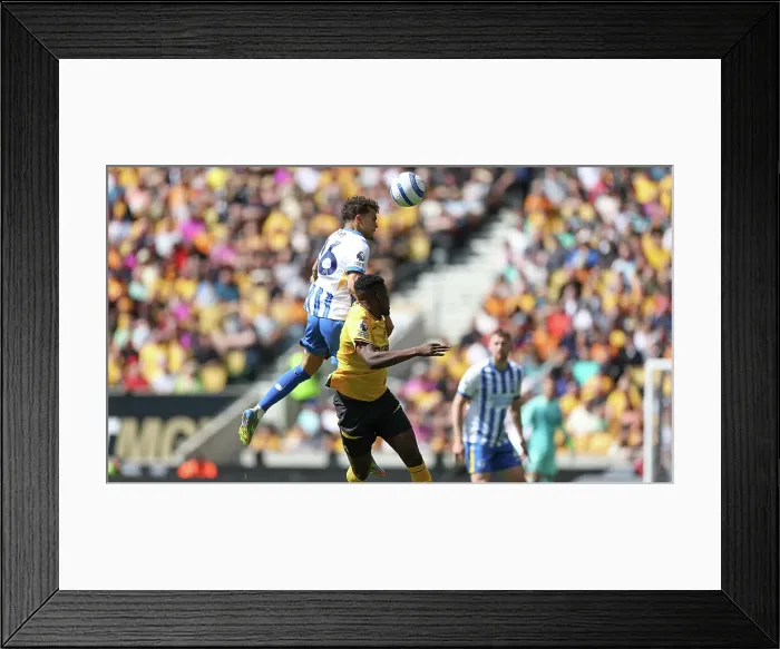 Framed Print : Wolverhampton Wanderers v Brighton and Hove Albion Premier League 10MAY25 Framed Print : Wolverhampton Wanderers v Brighton and Hove Albion Premier League 10MAY25