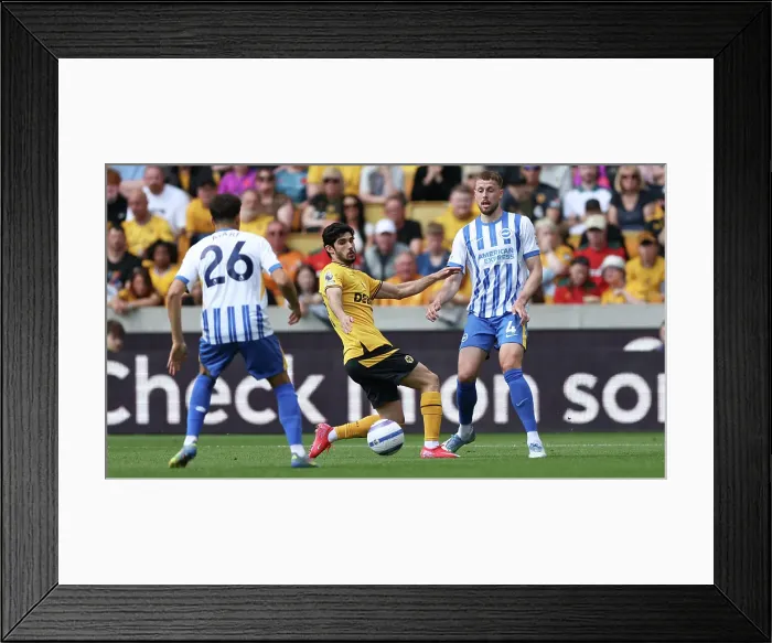 Framed Print : Wolverhampton Wanderers v Brighton and Hove Albion Premier League 10MAY25 Framed Print : Wolverhampton Wanderers v Brighton and Hove Albion Premier League 10MAY25