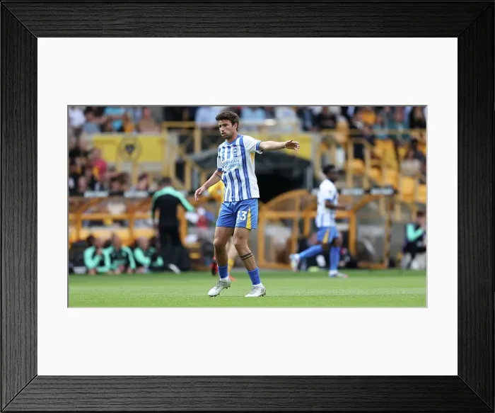 Framed Print : Wolverhampton Wanderers v Brighton and Hove Albion Premier League 10MAY25 Framed Print : Wolverhampton Wanderers v Brighton and Hove Albion Premier League 10MAY25