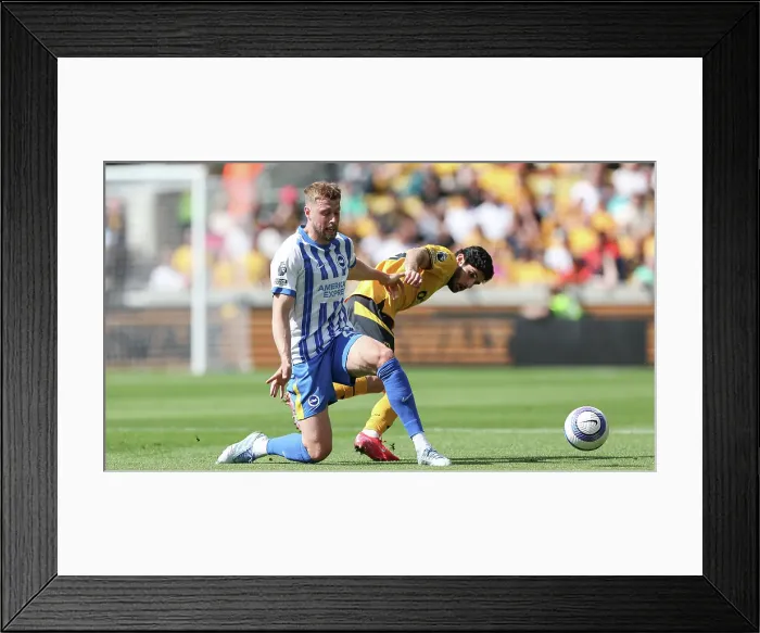 Framed Print : Wolverhampton Wanderers v Brighton and Hove Albion Premier League 10MAY25 Framed Print : Wolverhampton Wanderers v Brighton and Hove Albion Premier League 10MAY25