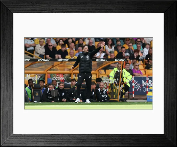 Framed Print : Wolverhampton Wanderers v Brighton and Hove Albion Premier League 10MAY25 Framed Print : Wolverhampton Wanderers v Brighton and Hove Albion Premier League 10MAY25