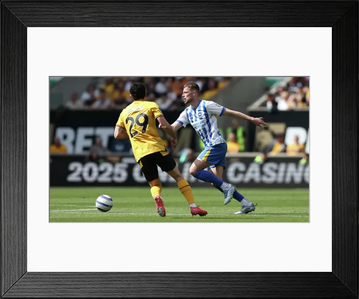 Framed Print : Wolverhampton Wanderers v Brighton and Hove Albion Premier League 10MAY25 Framed Print : Wolverhampton Wanderers v Brighton and Hove Albion Premier League 10MAY25