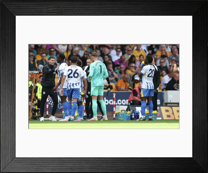 Framed Print : Wolverhampton Wanderers v Brighton and Hove Albion Premier League 10MAY25 Framed Print : Wolverhampton Wanderers v Brighton and Hove Albion Premier League 10MAY25